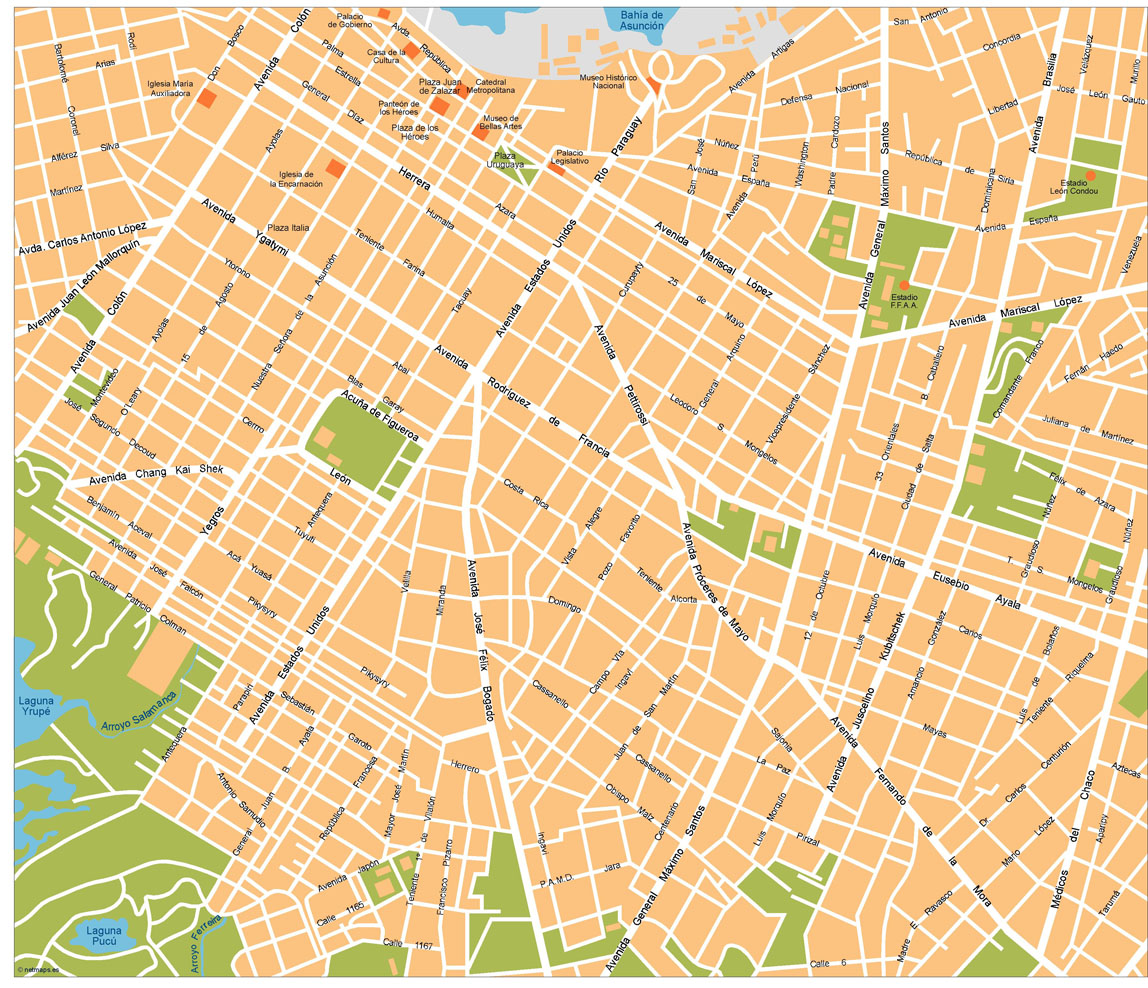 Asuncion Illustrator eps map vector