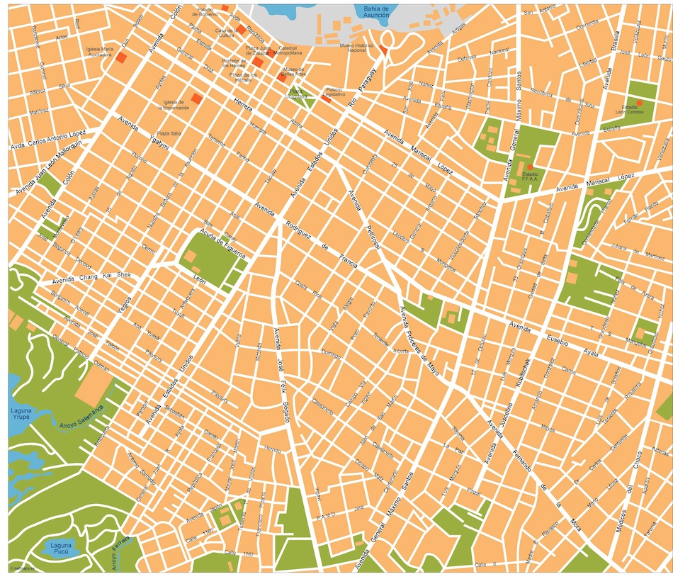 Asuncion eps illustrator vector map