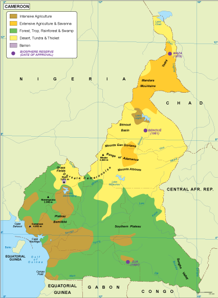 Cameroon vegetation eps map vector