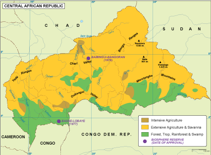 Central Africa Rep vegetation eps map vector