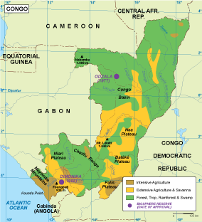 Congo vegetation eps map vector