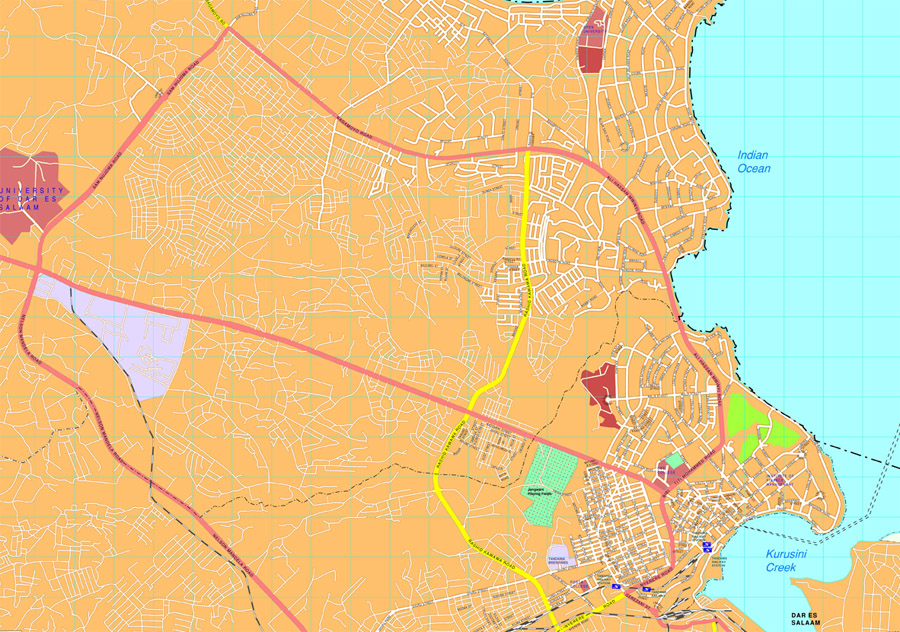 Dar es Salaam eps map vector