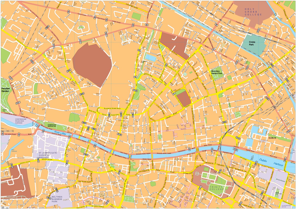 Dublin vector map