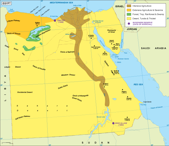 Egypt vegetation eps map vector