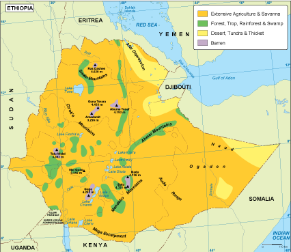 Ethiopia vegetation eps map vector