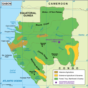 Gabon vegetation eps map vector