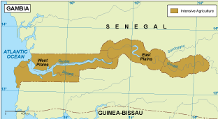 Gambia vegetation eps map vector