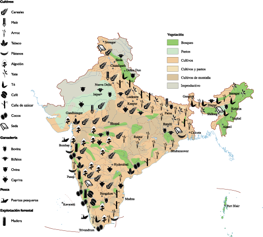 India Agricultural eps map vector