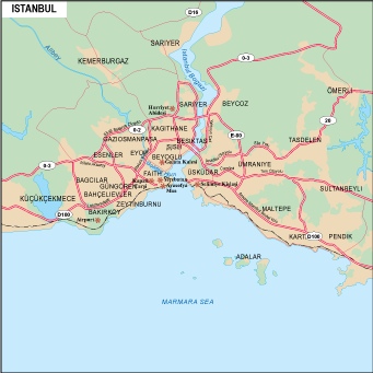 Istanbul city eps map vector