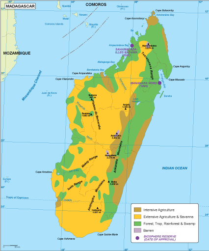Madagascar vegetation eps map vector