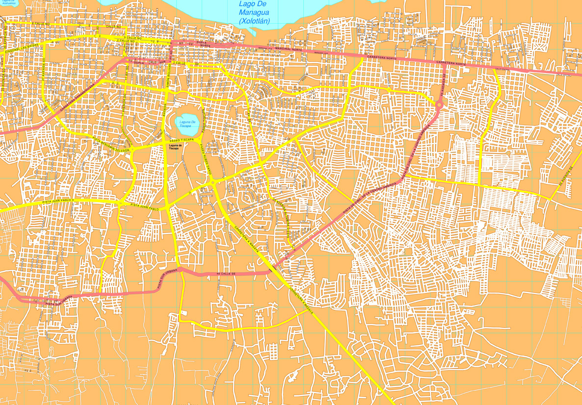 Managua eps map vector