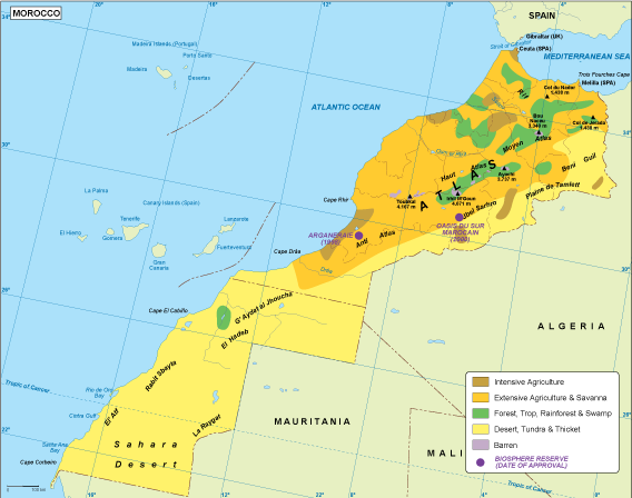 Morocco vegetation eps map vector