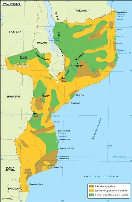 Mozambique vegetation eps map vector