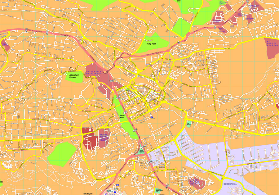 Nairobi eps map vector