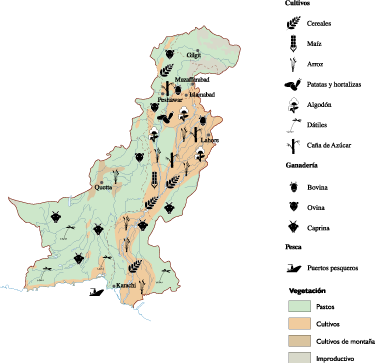Pakistan Agricultural eps map vector