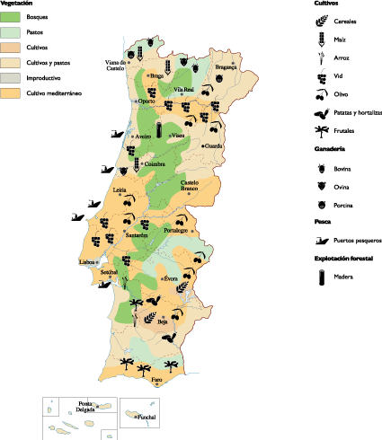 Portugal Agricultural eps map vector