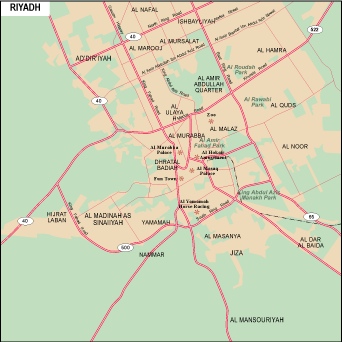 Riyadh city eps map vector