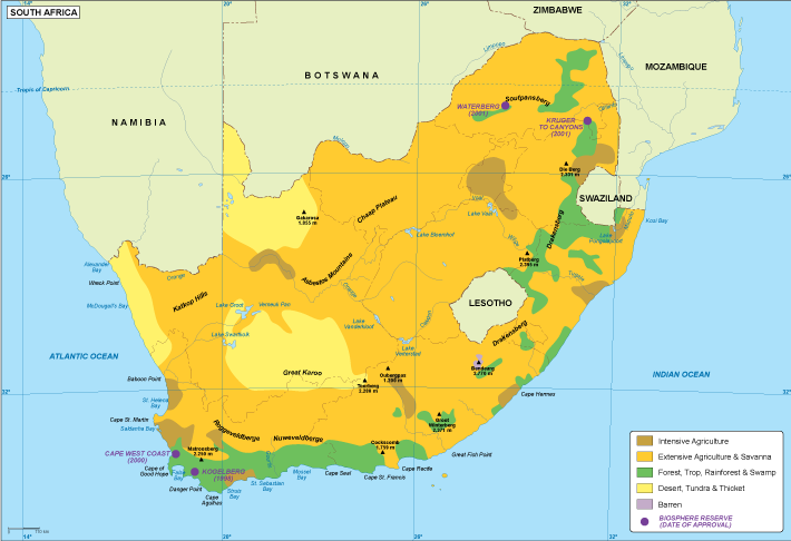 South Africa vegetation eps map vector
