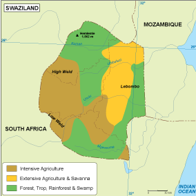 Swaziland vegetation eps map vector