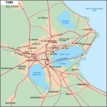 Tunis city eps map vector