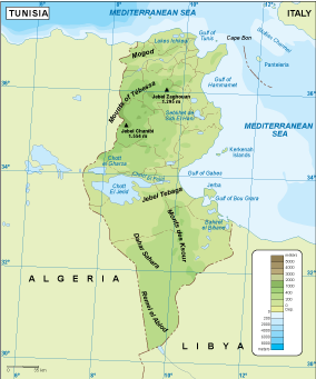 Tunisia physical eps map vector
