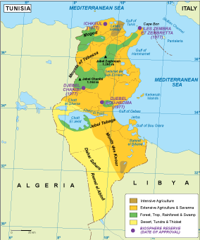 Tunisia vegetation eps map vector