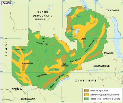 Zambia vegetation eps map vector