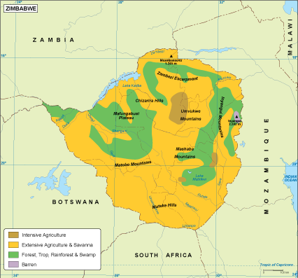 Zimbabwe vegetation eps map vector